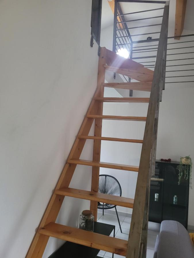 Appartement Avec Exterieur Aigues-Mortes Bagian luar foto